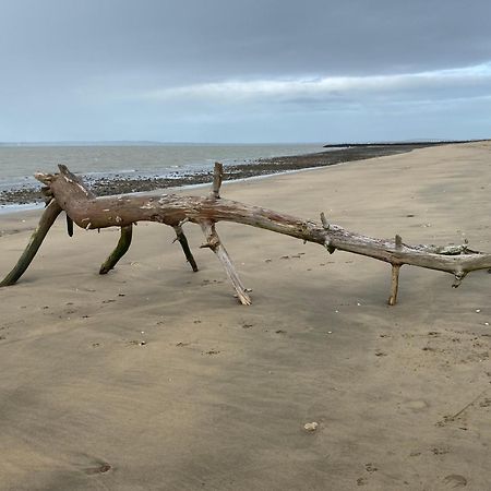 Entre Plage Et Marais Villa Bourcefranc Kültér fotó